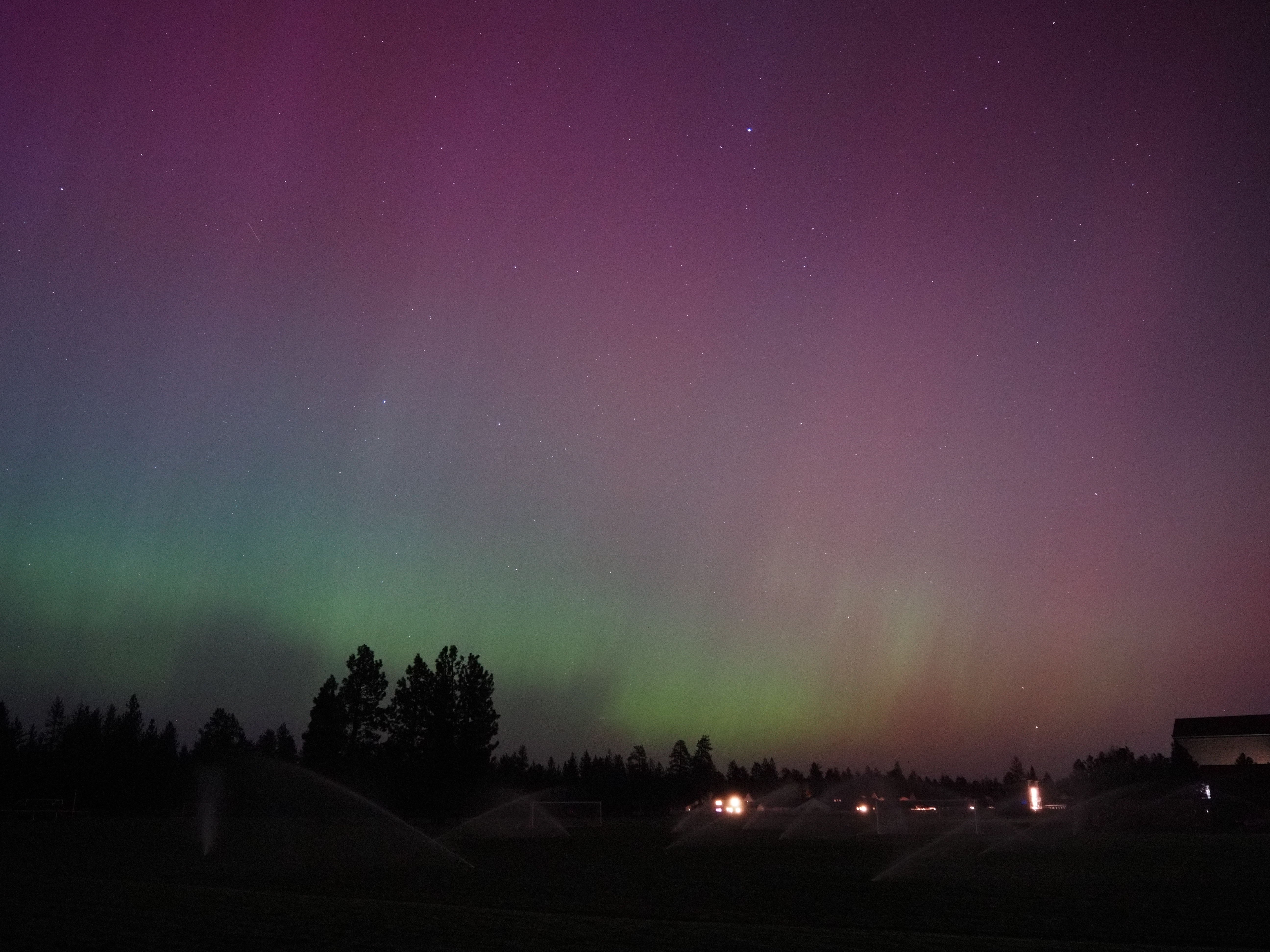 The aurora dancing over the sprinklers in the foreground